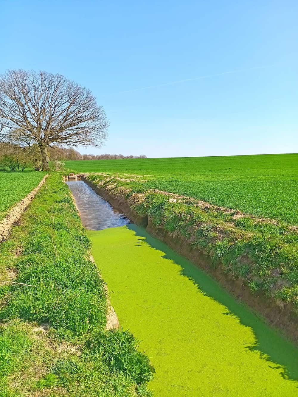 amenagement-rural-pas-de-calais (10).jpg