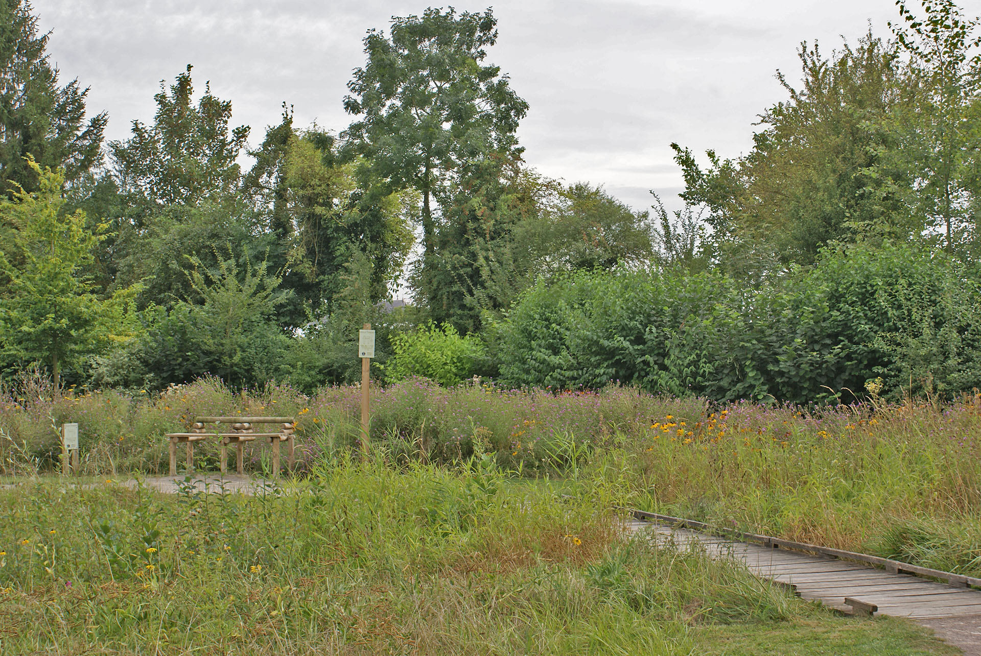 DSC07759.JPG