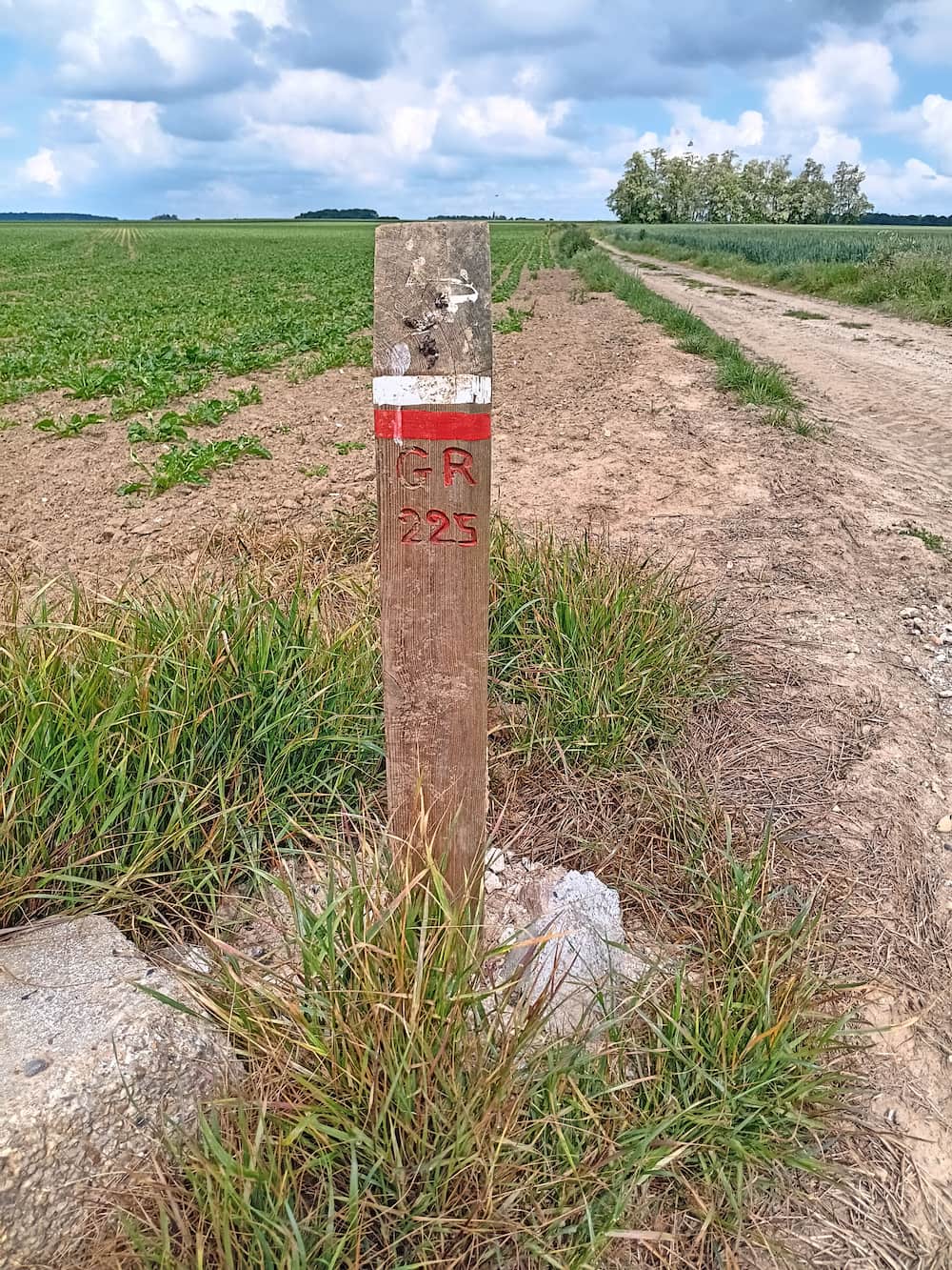 amenagement-agricole-rn31 (3).jpg