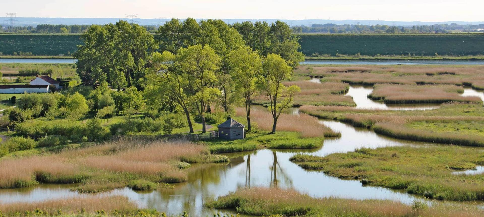 amenagement-parc-naturel-gravelines (33).jpg