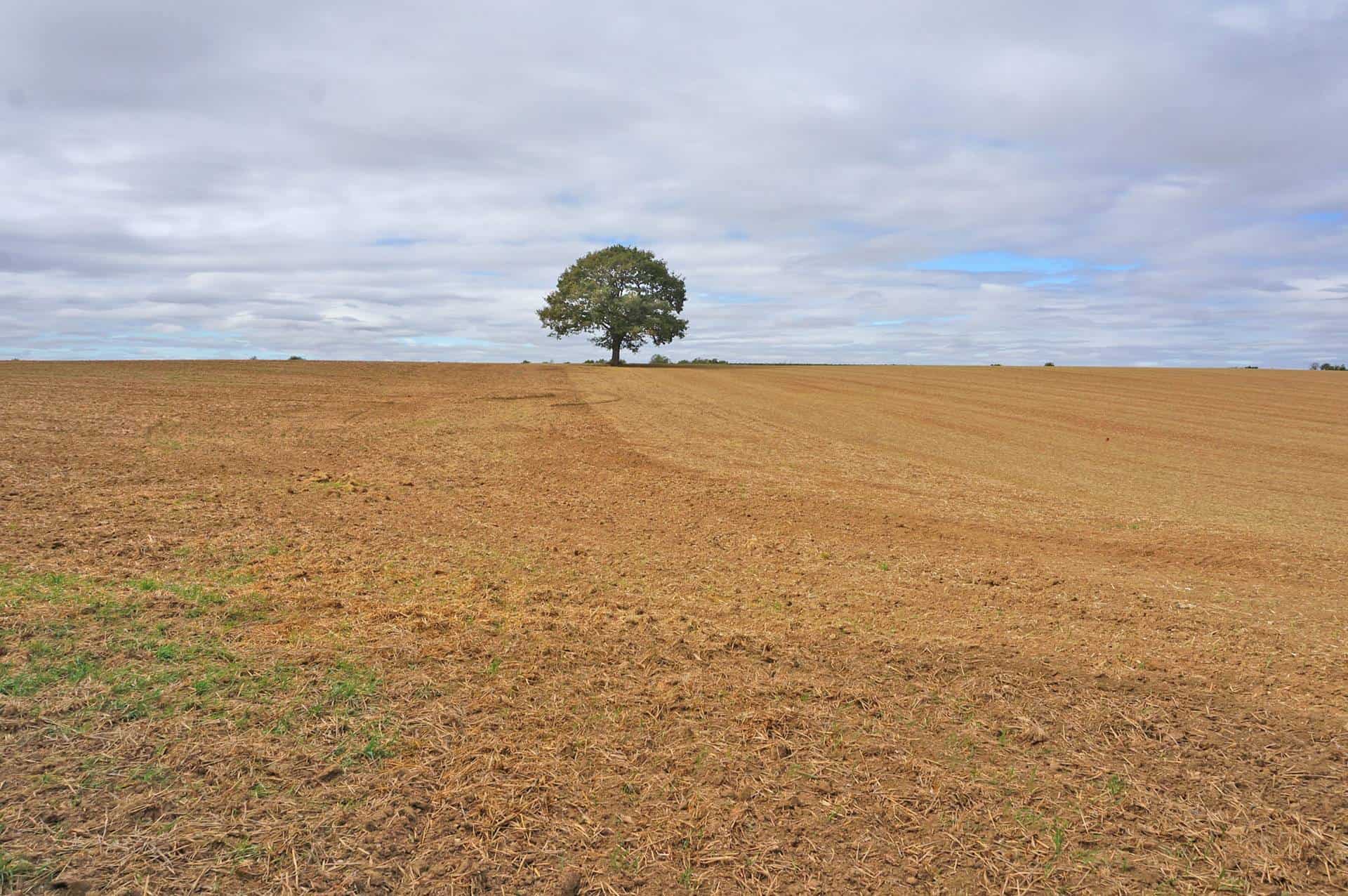 amenagement-foncier-fescamps (5).jpg