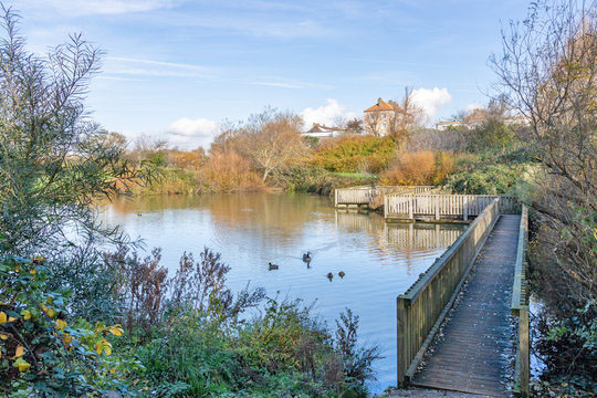 360_F_308252383_oRIjN9QRPTB9oSvVHfK5Nq6xdCeOJHHx.jpg