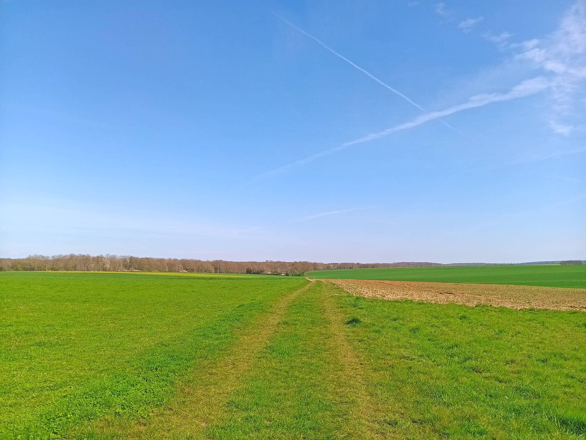 Paysage 360 - Aménagement foncier agricole Boissy-Fresnoy