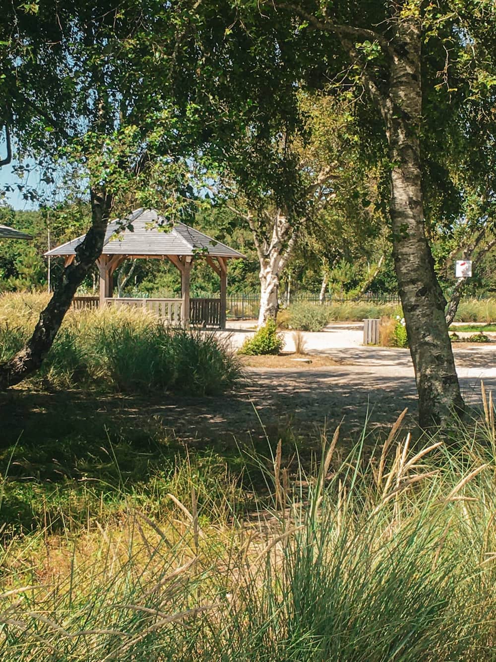 amenagement-espaces-naturels-camiers (7).jpg