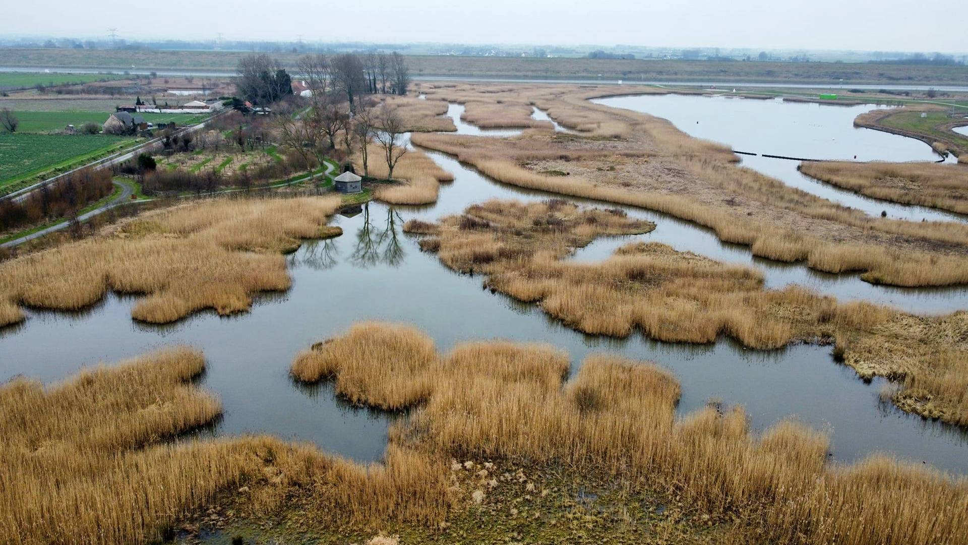 aménagement parc olympique gravelines