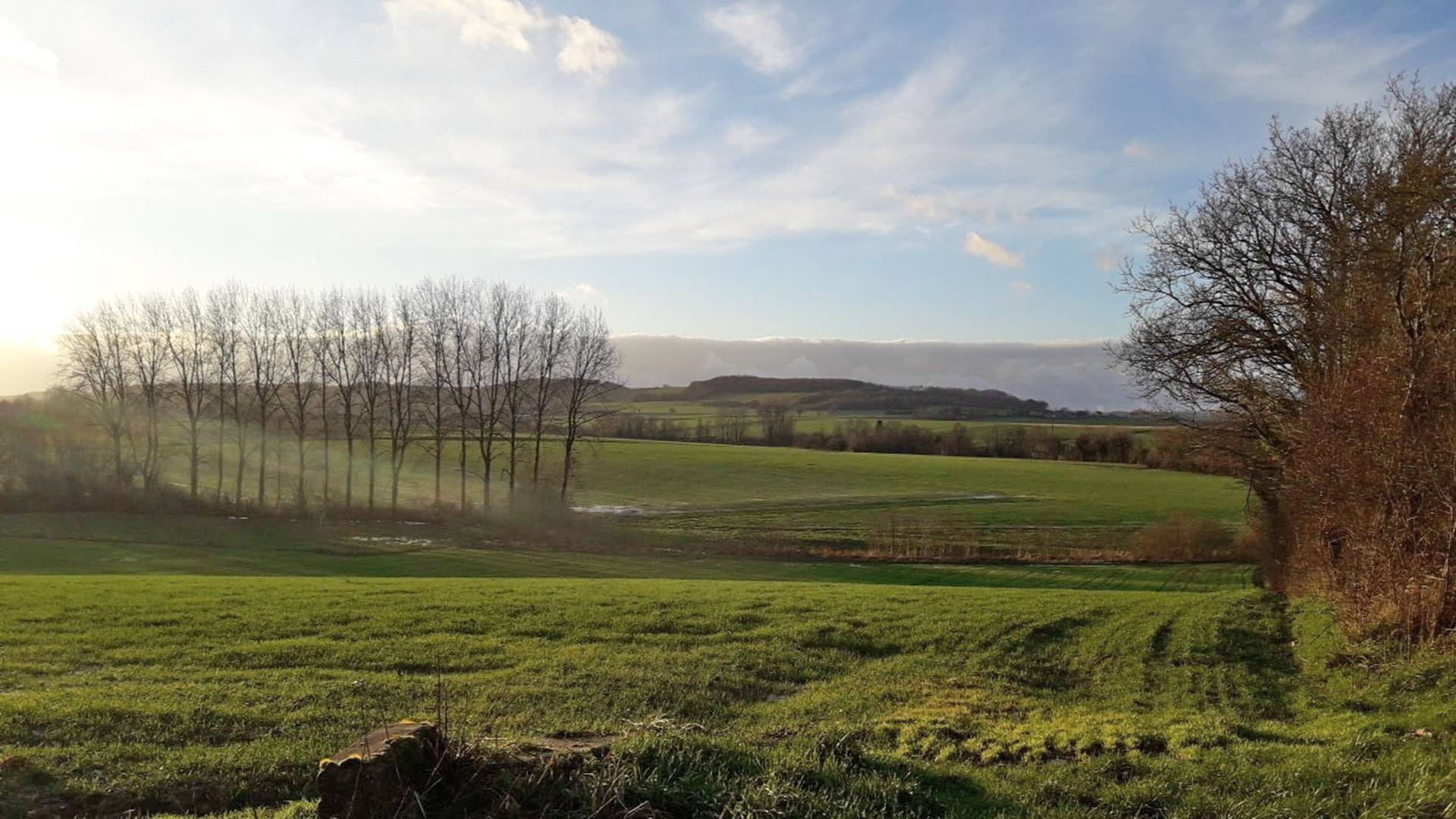 Paysage 360 - Aménagement foncier agricole et forestier