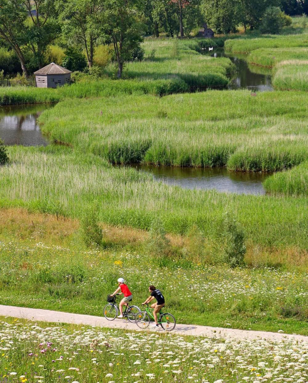 amenagement-parc-naturel-gravelines (30).jpg