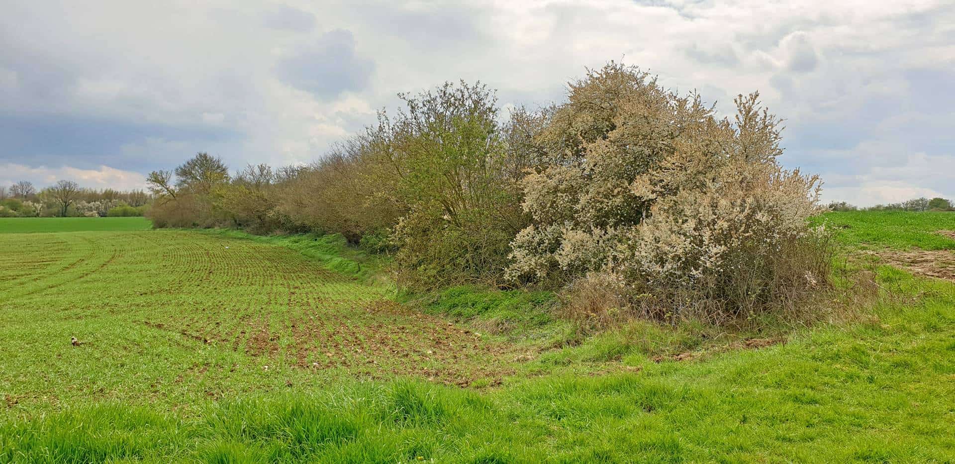 amenagement-foncier-fescamps (1).jpg