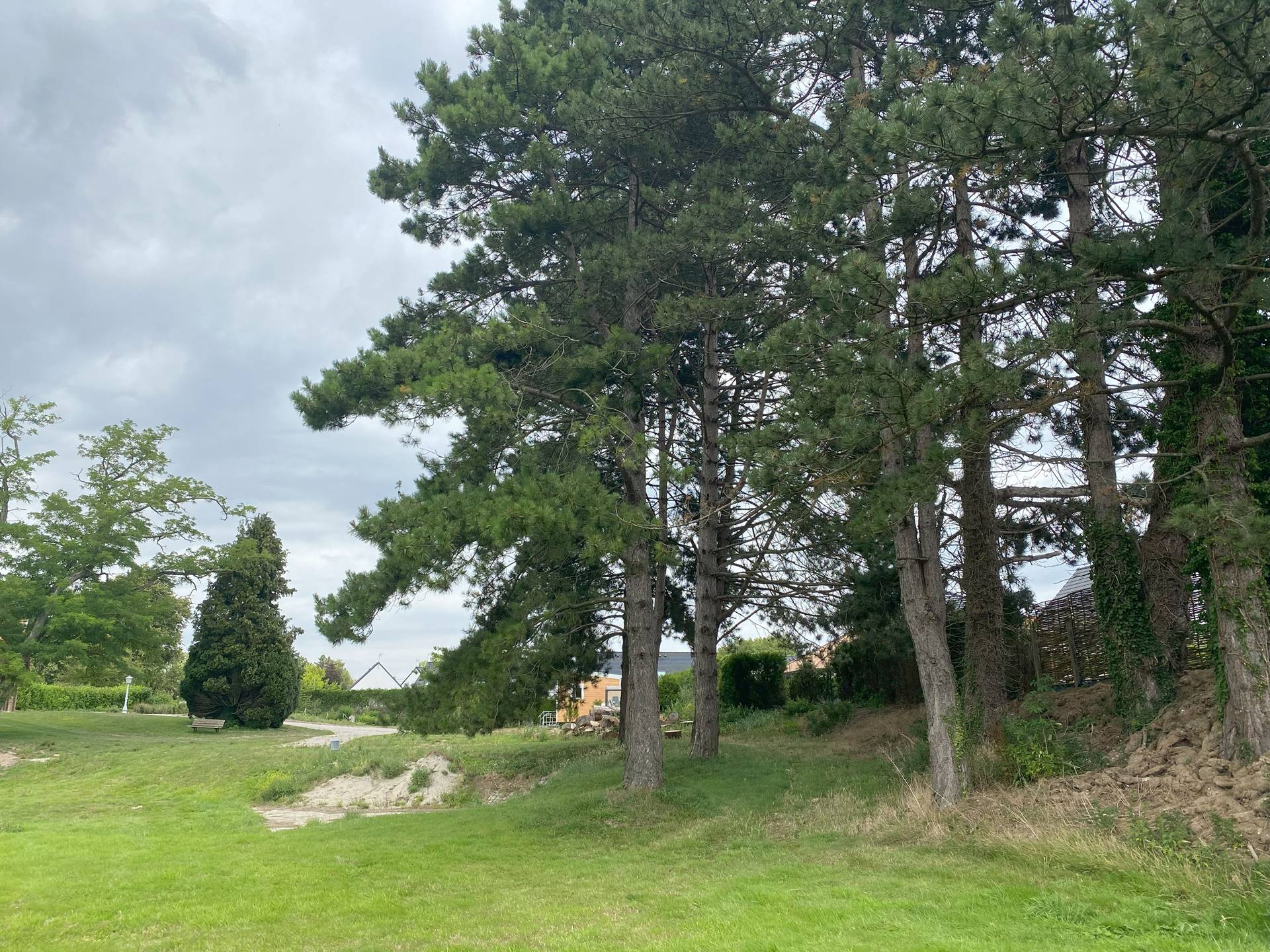 amenagement-Moulle (10).jpg