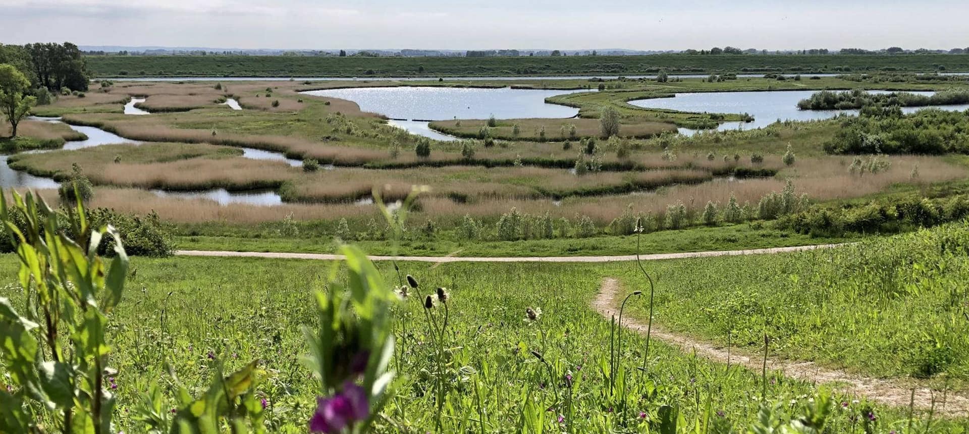 Aménagement paysager naturel dans le parc de Gravelines, espace vert préservé et loisirs en plein air