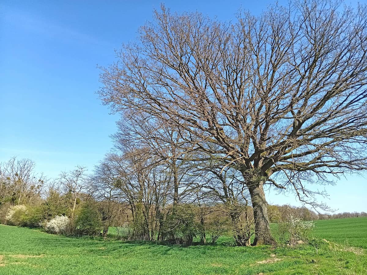 amenagement-rural-pas-de-calais (11).jpg