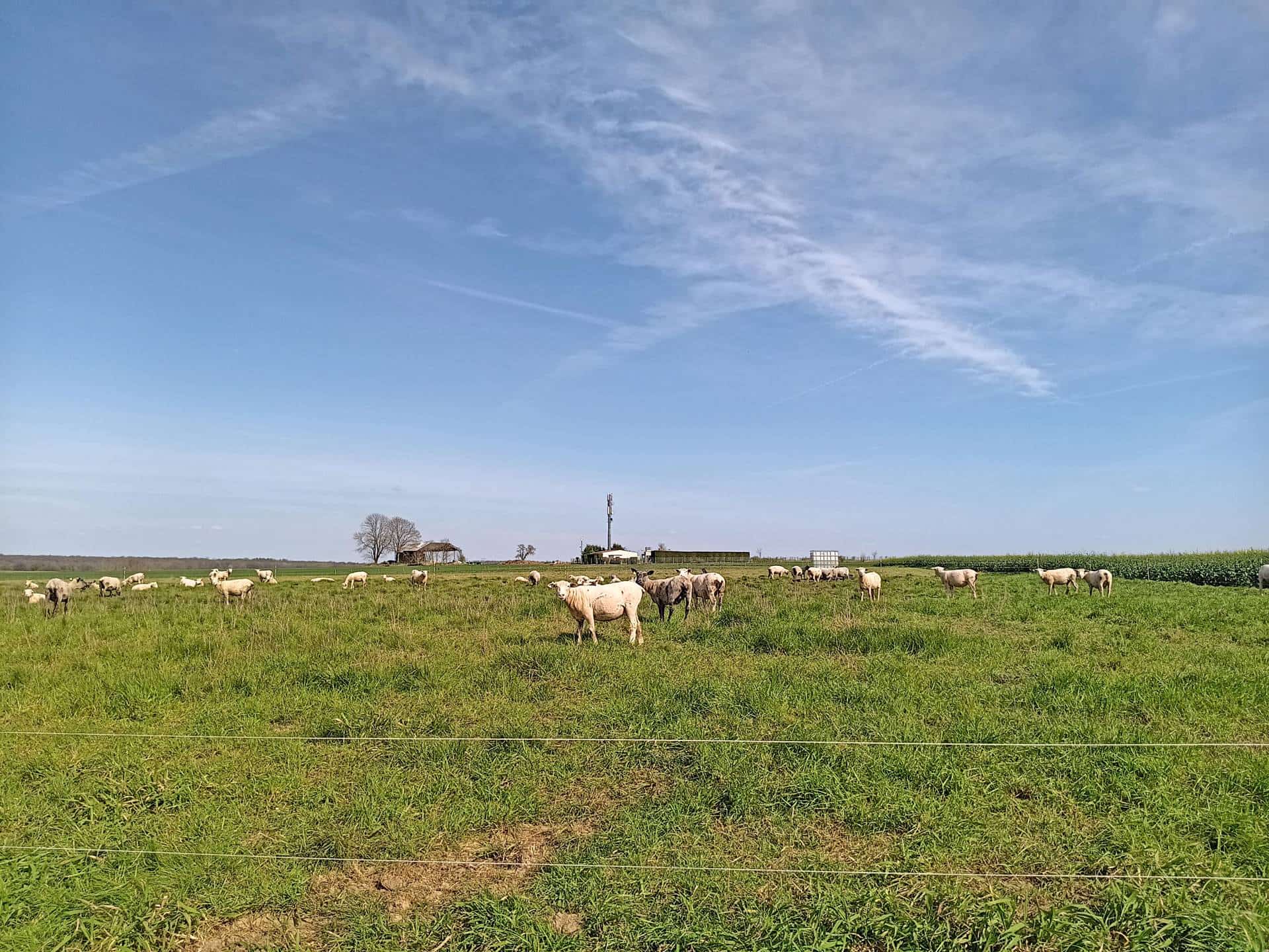 amenagement-rural-pas-de-calais (2).jpg