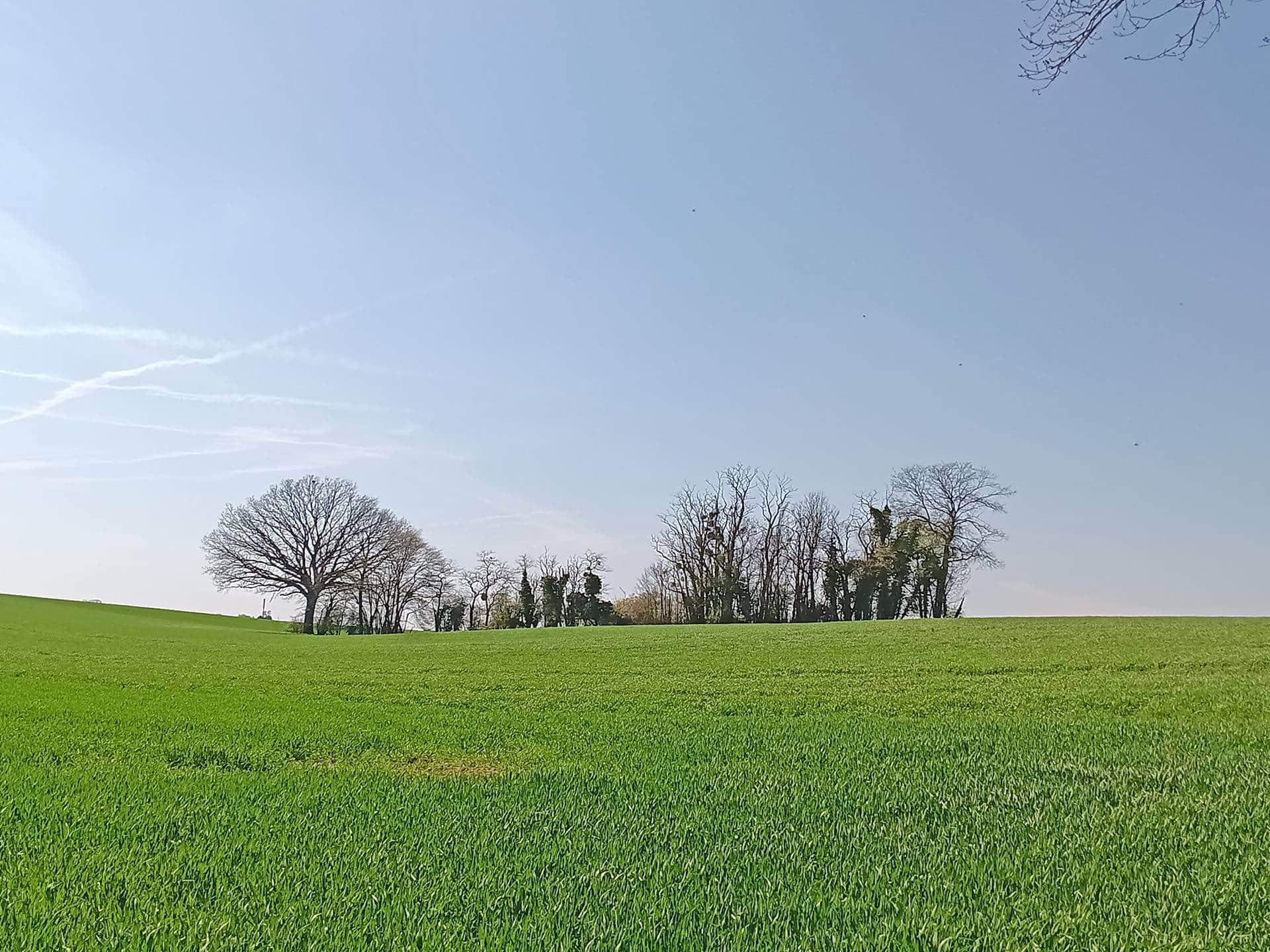 agence aménagament foncier agricole forestier oise