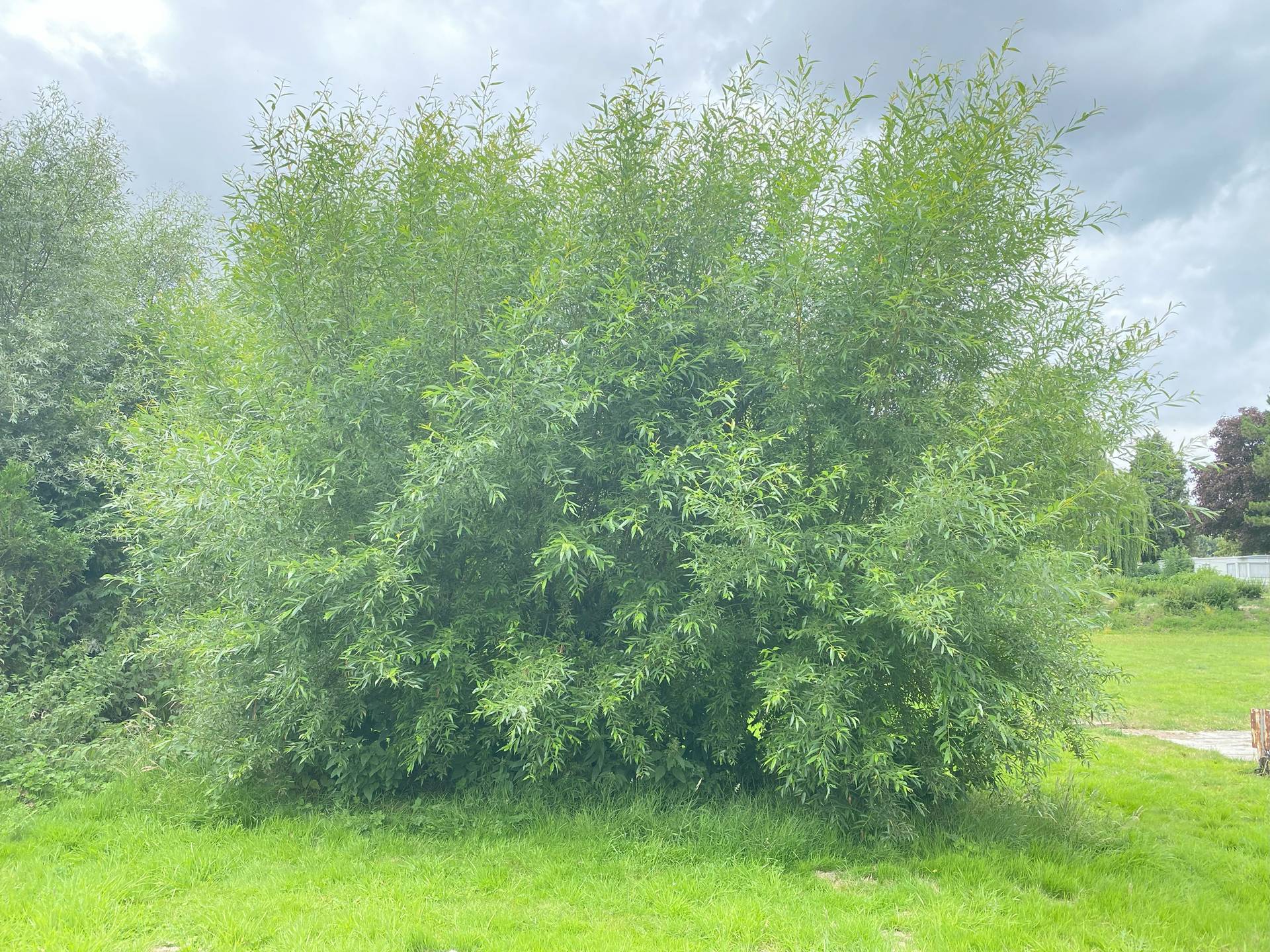 amenagement-Moulle (8).jpg