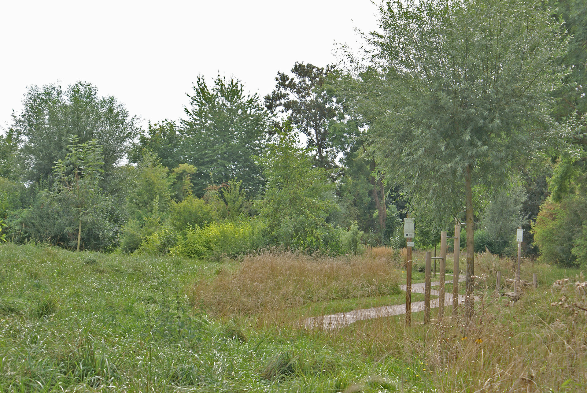 DSC07755.JPG