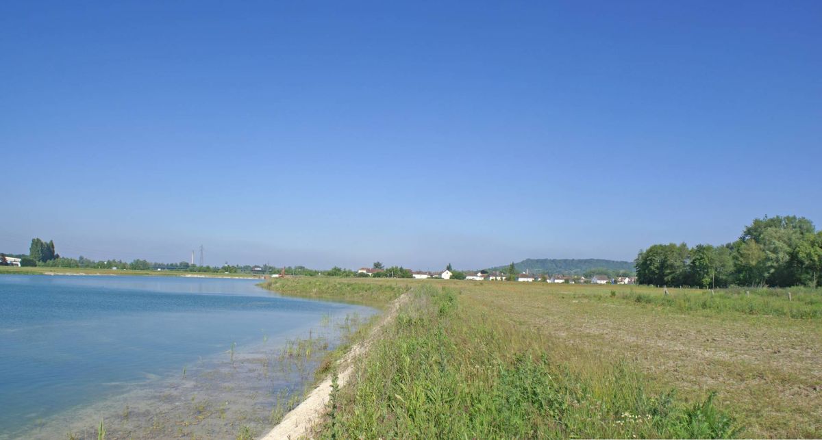 Etude d'impact projet bassin du Buissonnet